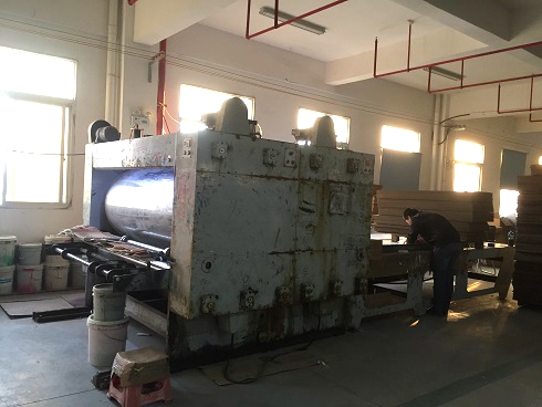 《一口气看完偷渡的女人》午夜高清完整版5