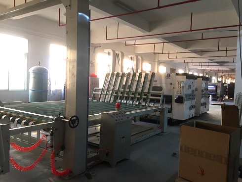 《一口气看完偷渡的女人》午夜高清完整版2